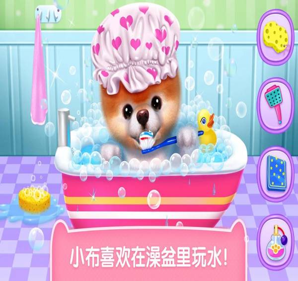可可公主之宠物小布手机版