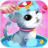 我的小猫最新版