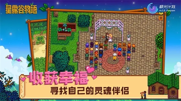 星露谷物语ios单机版