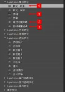 Lightroom高级版破解版怎么处理相机2