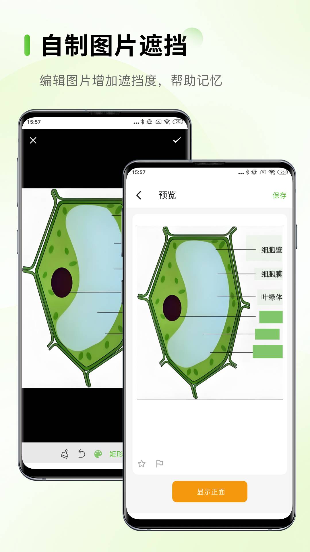 Anymo会员免登录