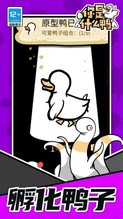 你是什么鸭完整版