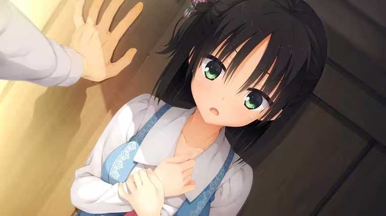 千恋万花手机版 千恋万花手机版