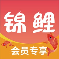 锦鲤会员 ios版