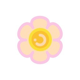 花花收纳会员版