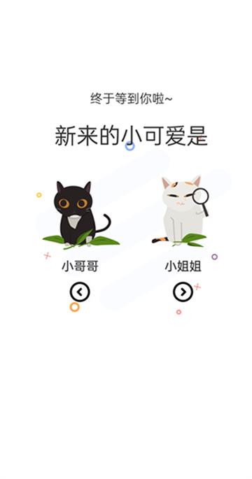 喵呜漫画纯净版