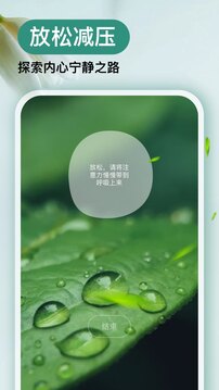 Now正念冥想解锁会员版