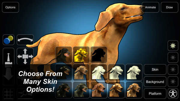 模拟忠犬