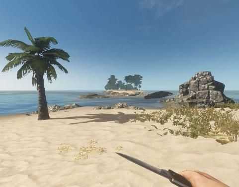 荒岛求生2(Survival Island The Forest 3D)