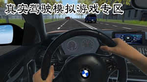 真实驾驶模拟不同版本游戏推荐