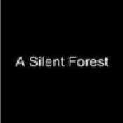 小黑屋(A Silent Forest)