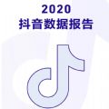 2020抖音数据报告生成器