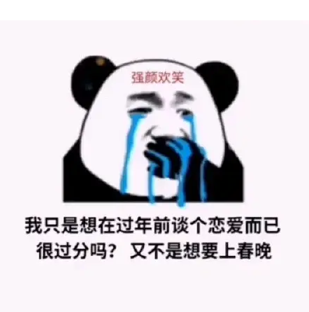 我只是想在过年前谈个恋爱而已表情包