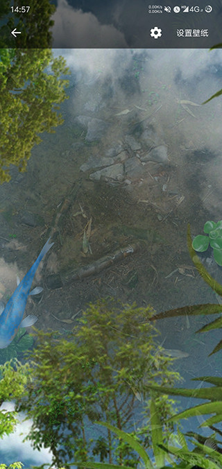 鱼池