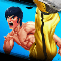 功夫激战4(Kung Fu Attack 4)