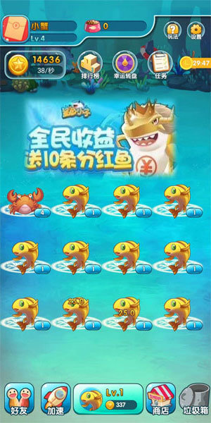 鲨鱼小子福利版