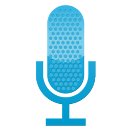 Easy Voice Recorder Pr