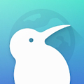 Kiwi Browser官方清爽版