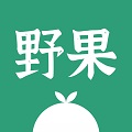 野果阅读绿色版