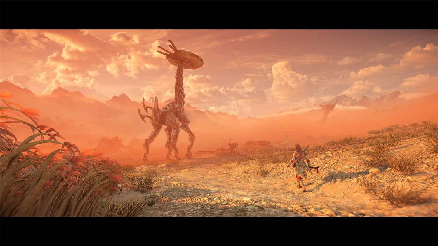地平线西之绝境完整版