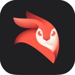 Viddo Pro高级版