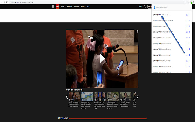 Flash Video Downloader