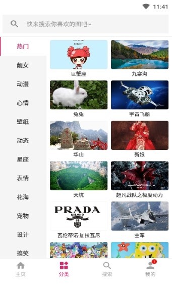 图片搜搜纯净版