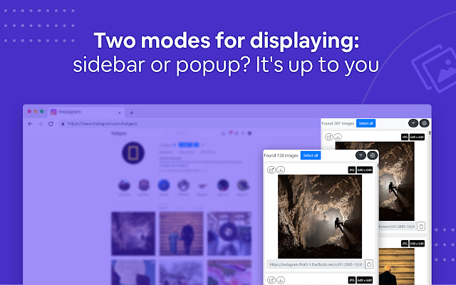 Bulk Image Downloader