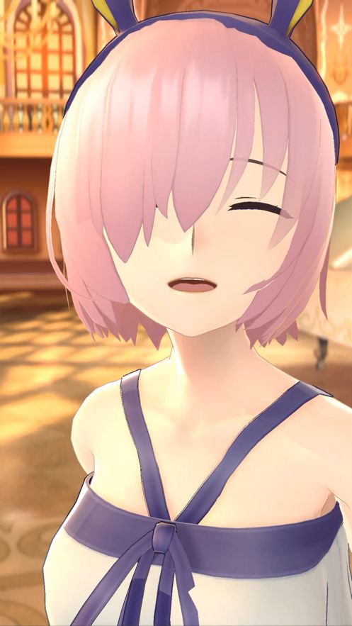 FGO Waltz中文版