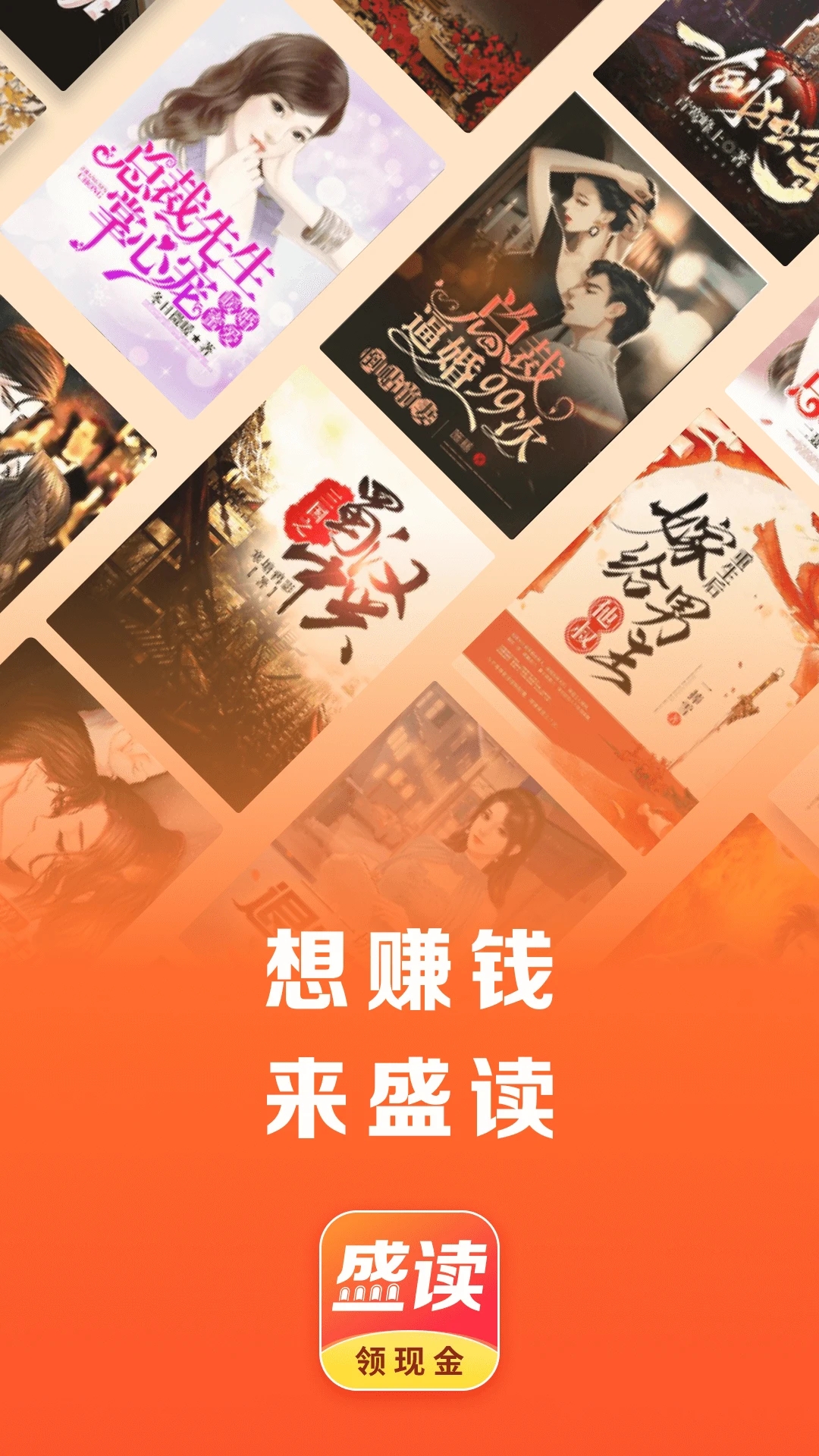盛读小说高级版