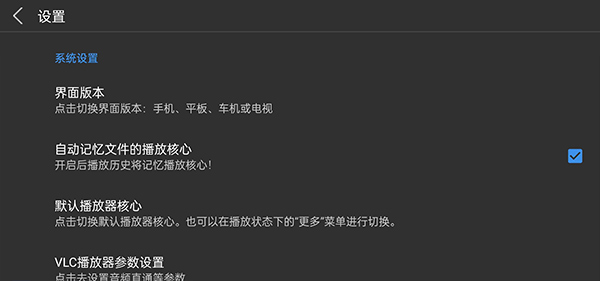 蜗牛云盘车机版大屏版