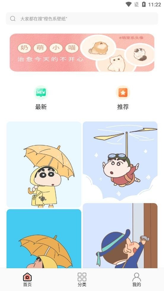 小王壁纸绿化版