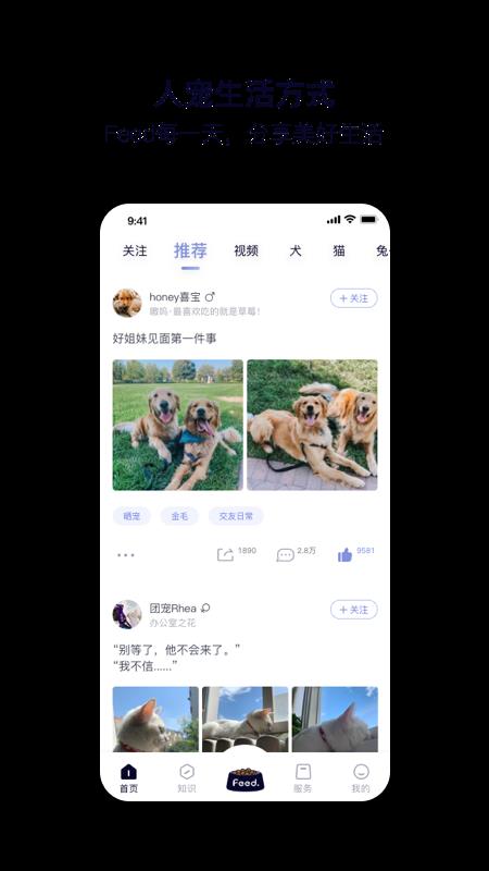 Feed最新版
