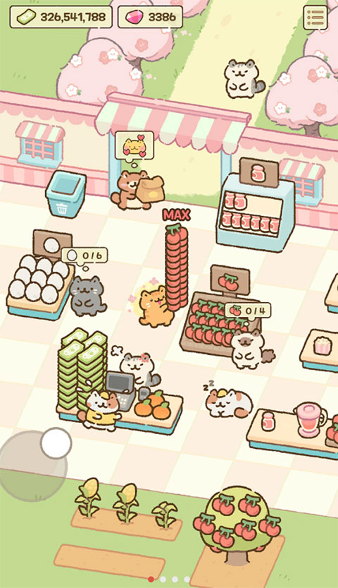猫市
