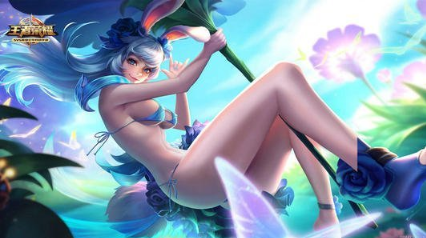 王者荣耀擦除衣服软件安装