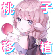pixelbunny安卓手游