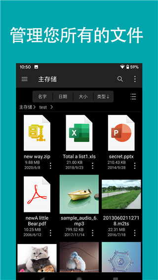 fileexplorer专业版（FE文件管理器专业版）