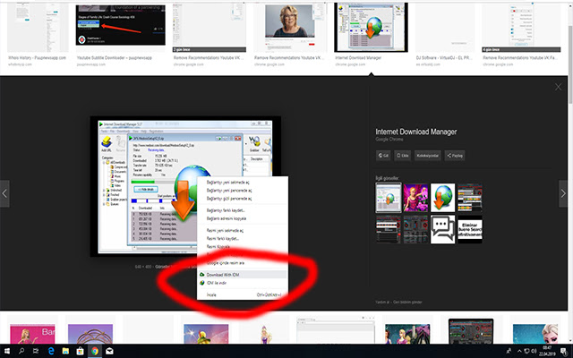 Internet Download Manager