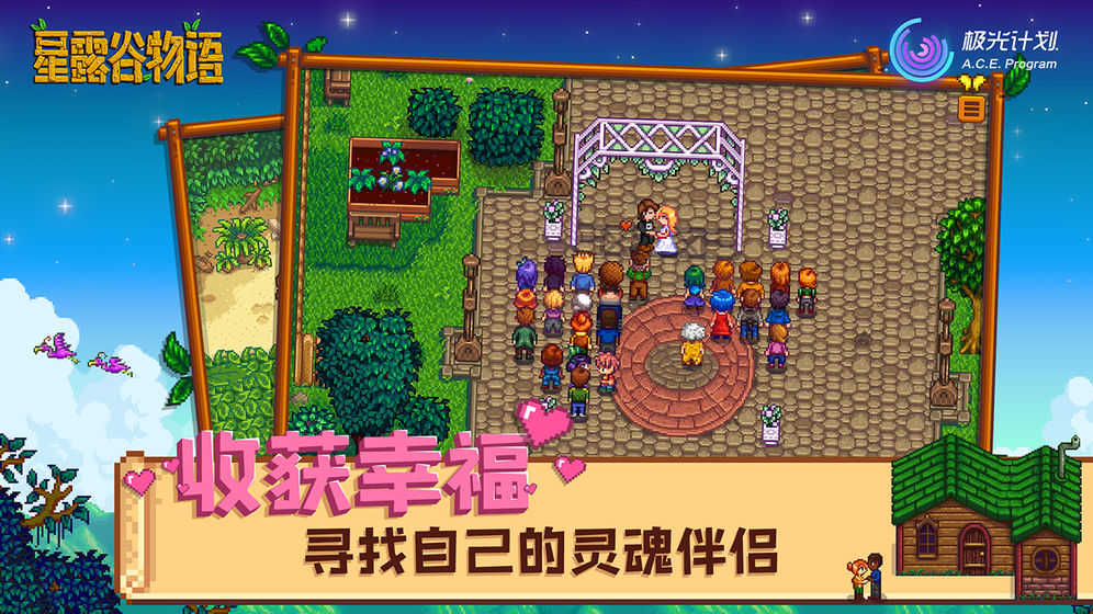 星露谷物语下载美化版中文版