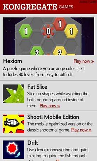 Adobe Flash Player 11.1