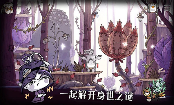 豆胡（TOHU）