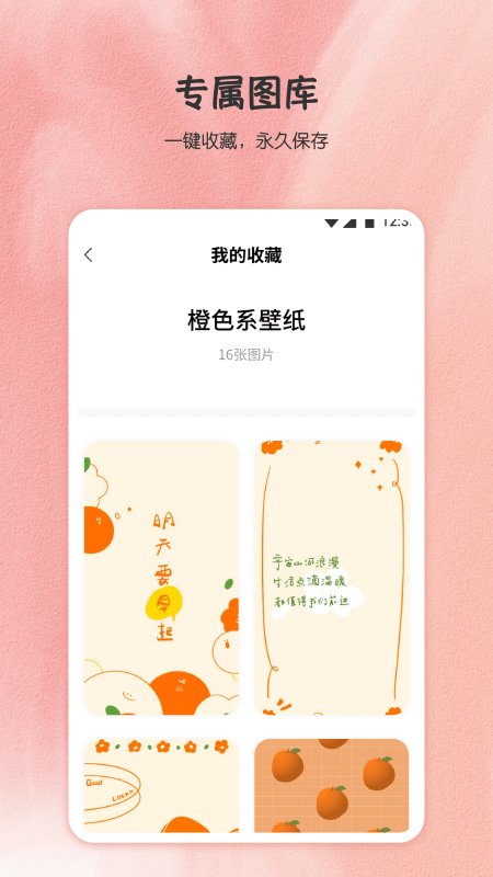 小王壁纸绿化版