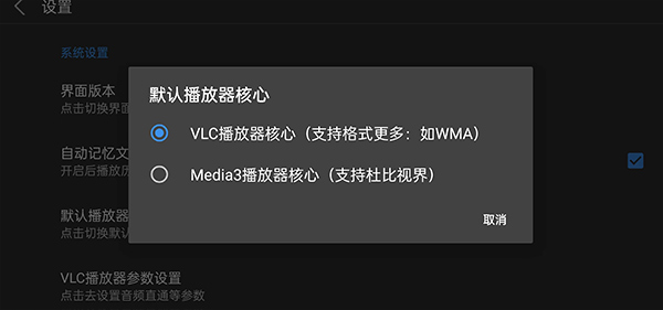 蜗牛云盘车机版大屏版