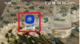 1682059686722833.png 麻匪壁纸如何导入文件