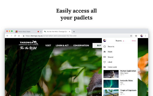 Padlet Mini