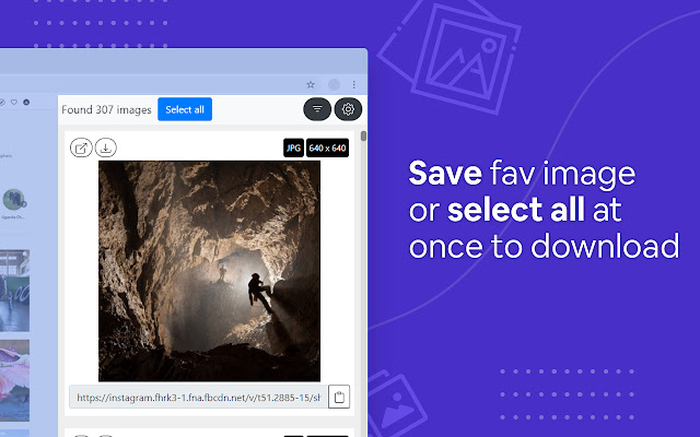 Bulk Image Downloader