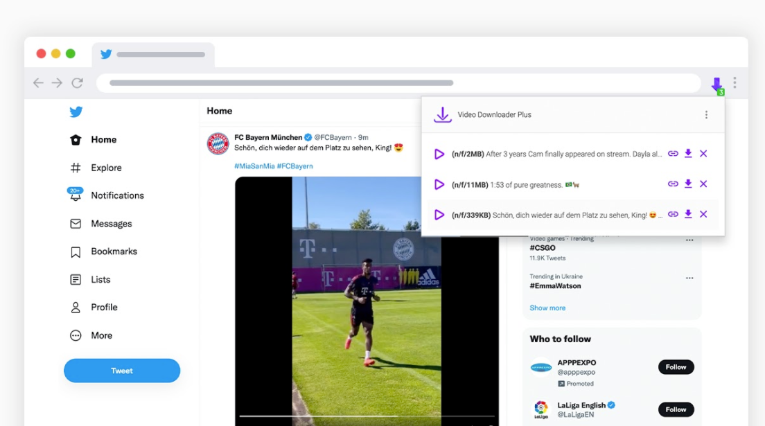 Video Downloader PLUS