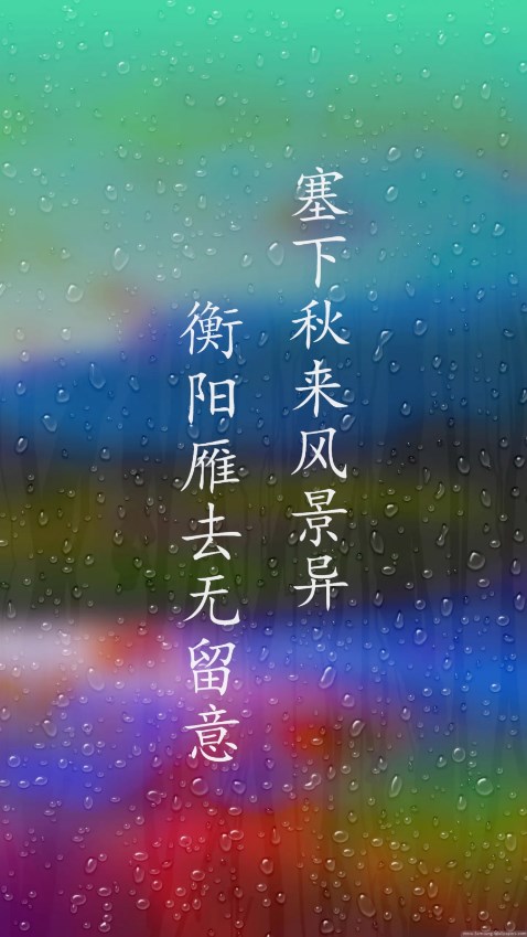 何以影视