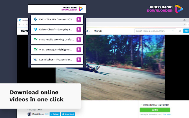 Video Downloader Basic