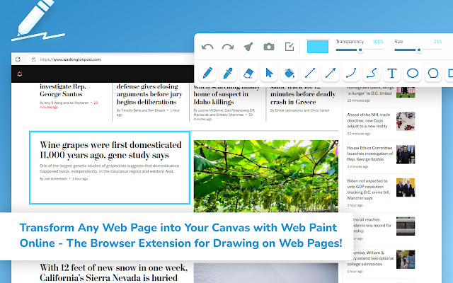Web Paint
